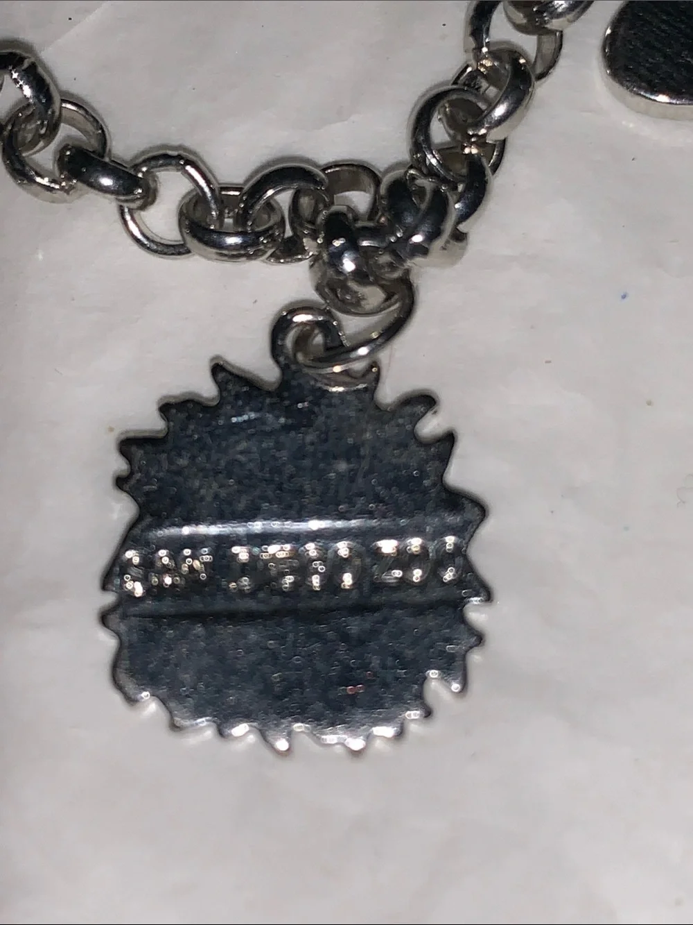 San Diego Zoo Silvertone Charm Bracelet with Multicolor Animal Charms